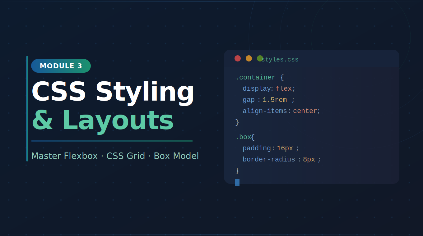 Module 3: CSS Styling & Layouts